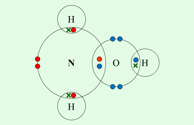 Â© Philip Sheldon 2020